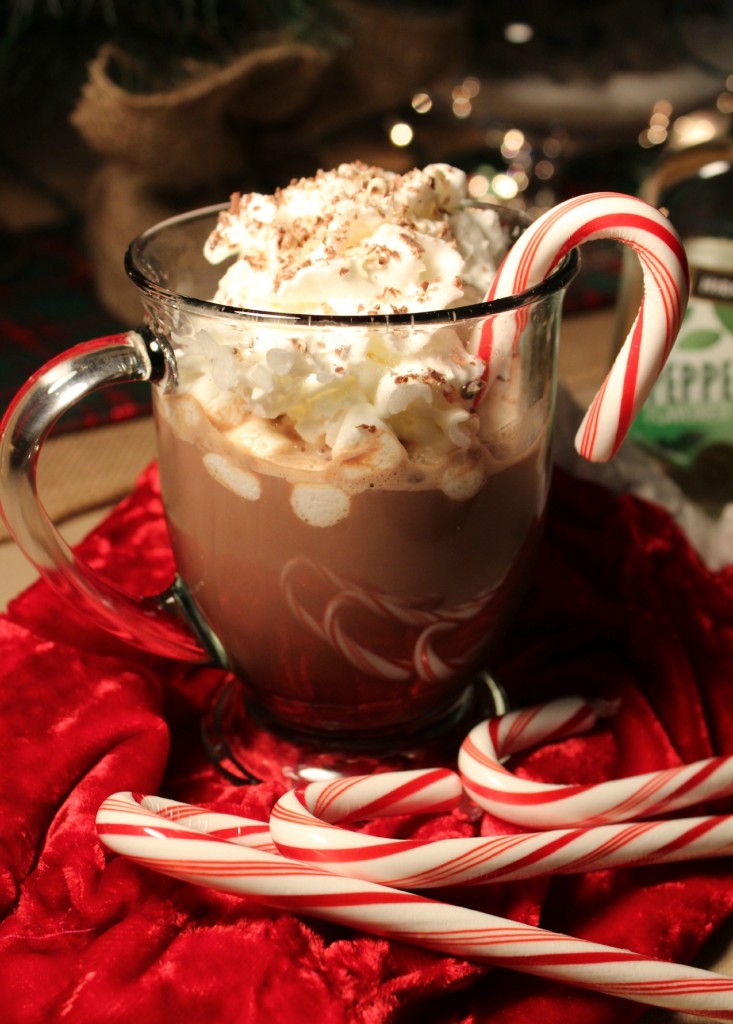 Peppermint Schnapps Hot Chocolate @addicted2recipe