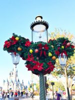 A Disney World Christmas